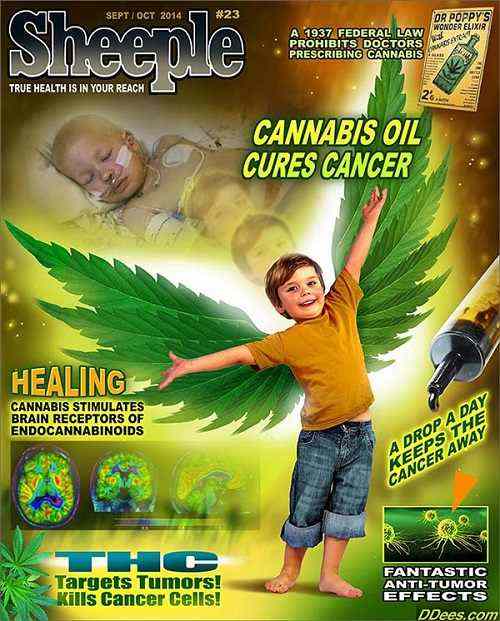 CANNABIS CURES!