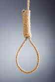 Learn how to tie a noose